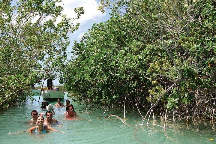 Sian Ka'an the green jewel, Biosphere Reserve Tour. Lunch & Snorkel included.