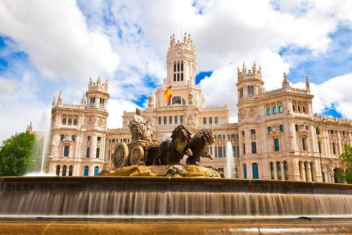 Private Transfer: Madrid to Madrid Airport MAD in Luxury Van
