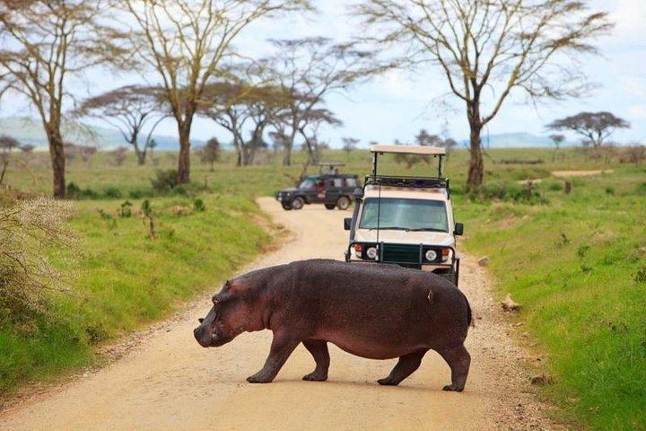 Day Tour To Lake Nakuru Park With Optional Boat Ride at Lake Naivasha