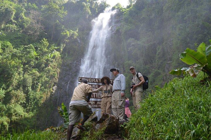 Mount Kilimanjaro day trip trekking