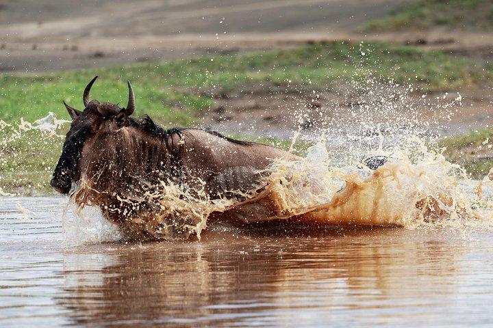 3 Days Luxury Lodge Safari in Tanzania