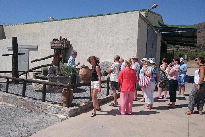 PRIVATE Spinalonga & Agios Nikolaos & Olive Oil Factory CRETE