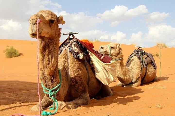 Desert Agafay and Atlas Mountains & Camel ride Day Trip From Marrakech