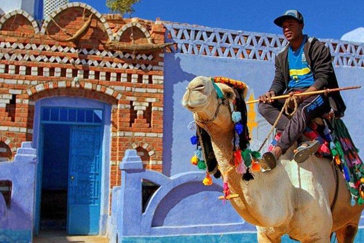 Private Sightseeing Day Trip To Aswan and Nubian Village By Car From Luxor