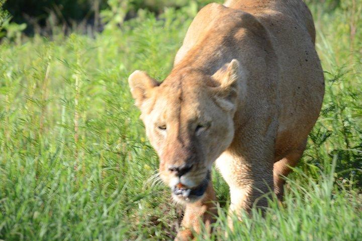 3 Days private safari Tarangire ,Ngorongroro crater &Manyara