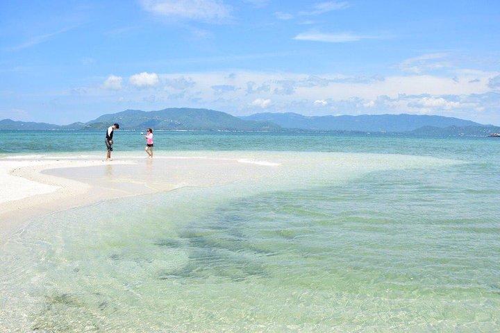 Private Half Day Trip to Pig Island and Koh Tan by Long Tail Boat
