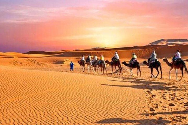 Desert Agafay and Atlas Mountains & Camel ride Day Trip From Marrakech