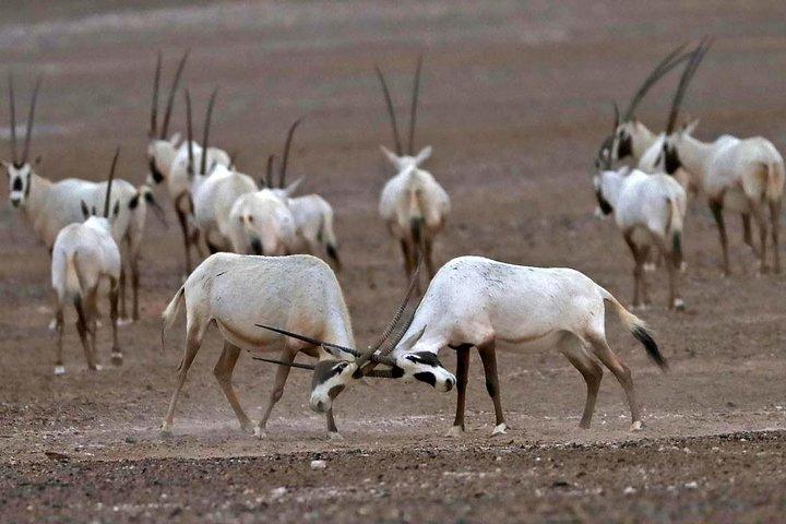 Visit Souss National Park