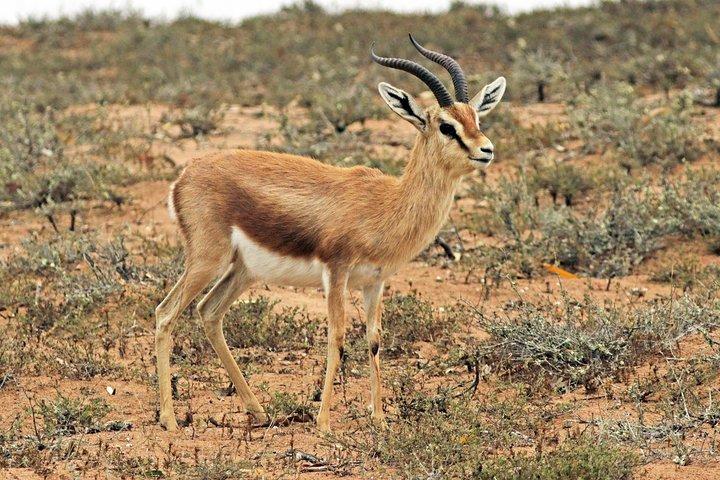 Visit Souss National Park