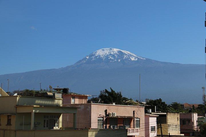 Mount Kilimanjaro Day Hike