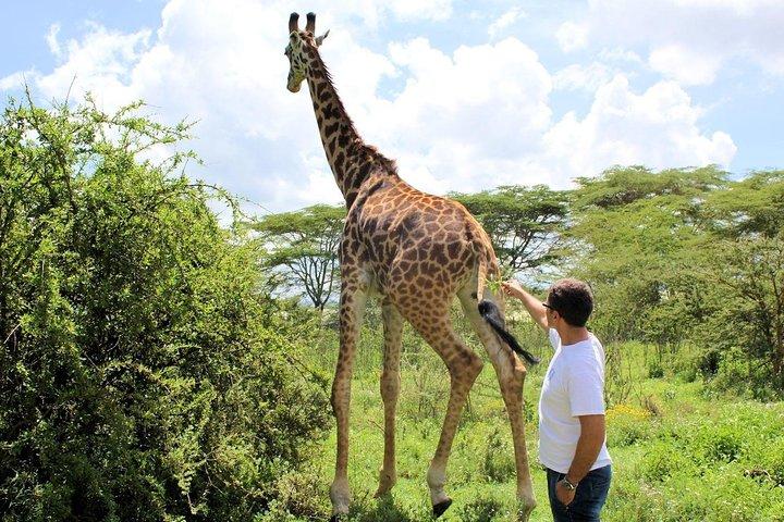 Day Tour To Lake Nakuru Park With Optional Boat Ride at Lake Naivasha