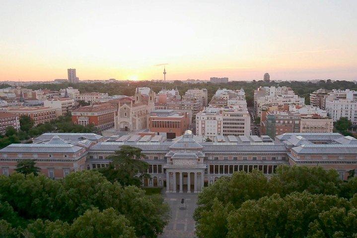 Prado Museum and Reina Sofia Museum Private Tour