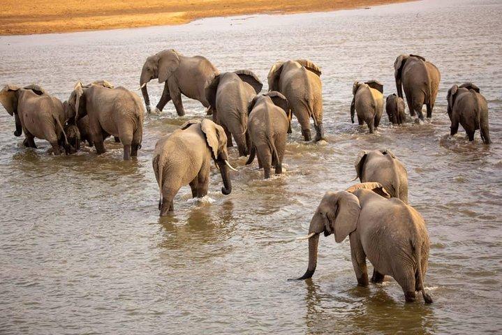 5-Day Norther Tanzania Luxury Safari