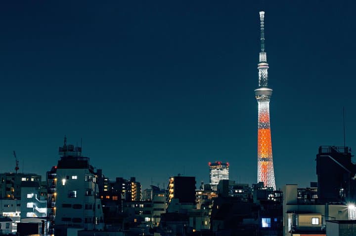Tokyo Private Customizable Half Day Tour