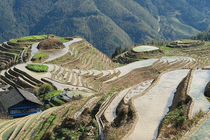 1-Day Longji Terrace Fields-Pingan village Tour with the English Speaking Driver