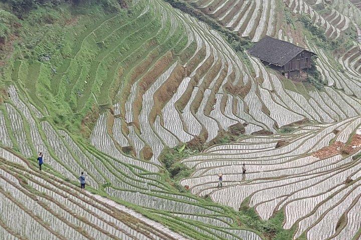 1-Day Longji Terrace Fields-Dazhai village Tour with the English Speaking Driver