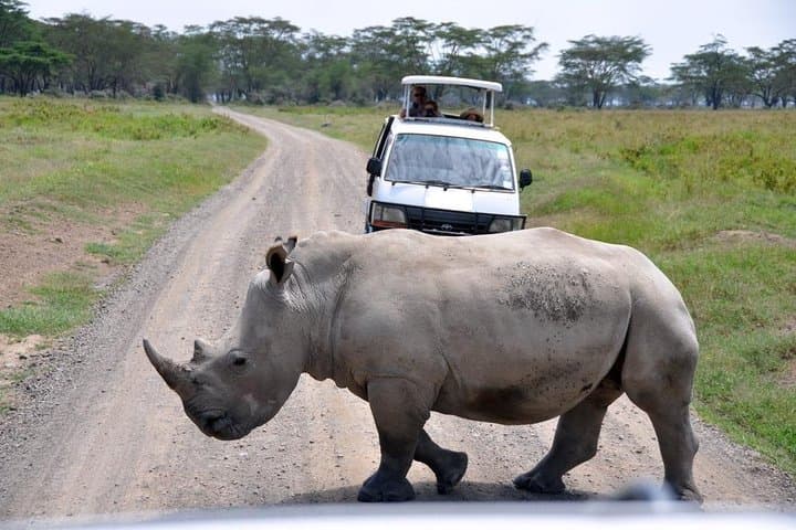 Nairobi National Park, Giraffe center & Beads Factory Guided Day Tour