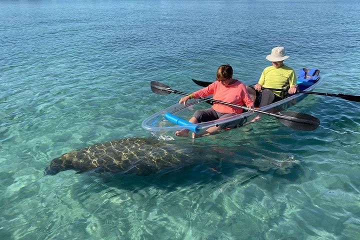 Guided Clear Kayak Eco-Tour of Jupiter