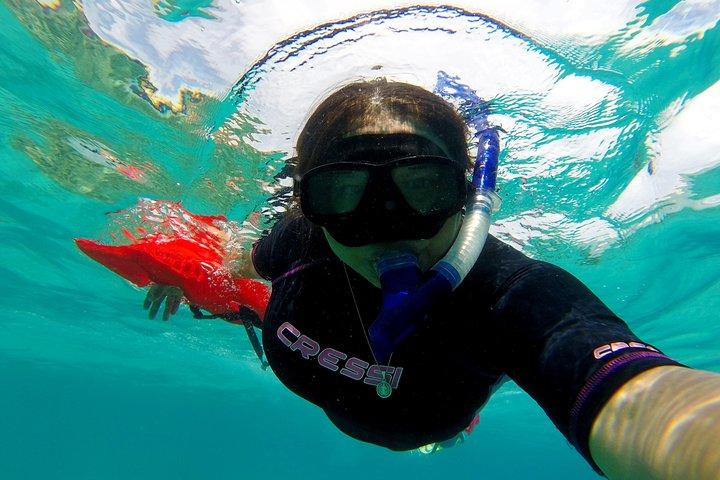 Marietas Islands snorkeling & Hidden beach (w/ restrictions)