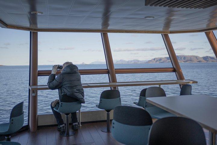 Lofoten Island: Silent Trollfjord Cruise from Svolvær