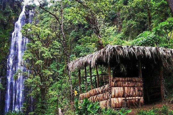 Materuni Waterfalls, Coffee and Village Full Day Tour