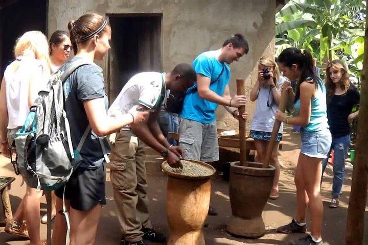 Materuni Waterfalls, Coffee and Village Full Day Tour