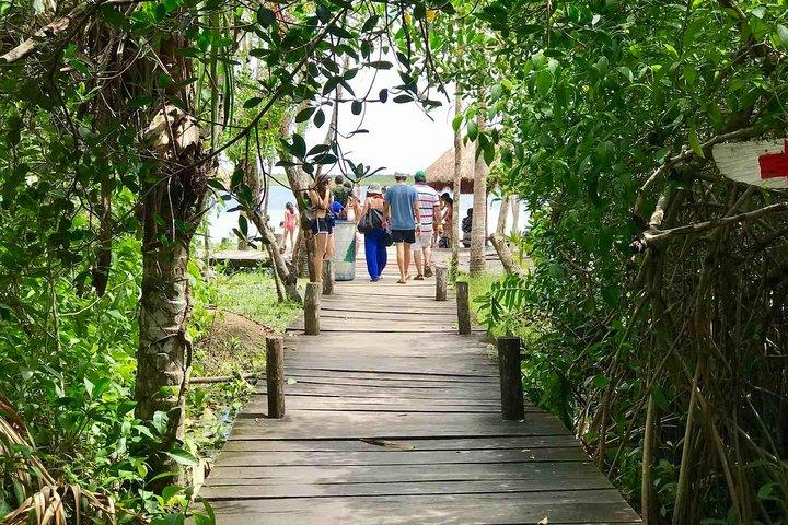 SUPER Tour Kaan Luum Lagoon, 2 different Cenotes. Lunch included