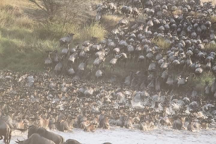 Private 6-Day Wildebeest Migration Safari + Hazdabe Lake Eyasi