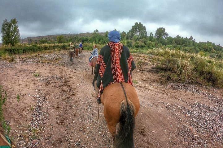 Horseback ride through vineyards followed by gourmet lunch