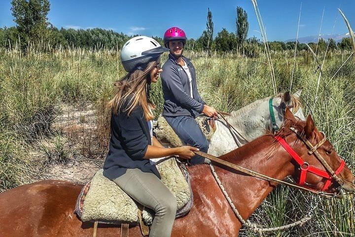 Horseback ride through vineyards followed by gourmet lunch