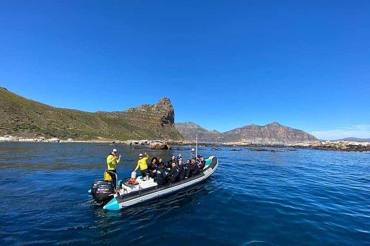 Animal Ocean Safaris