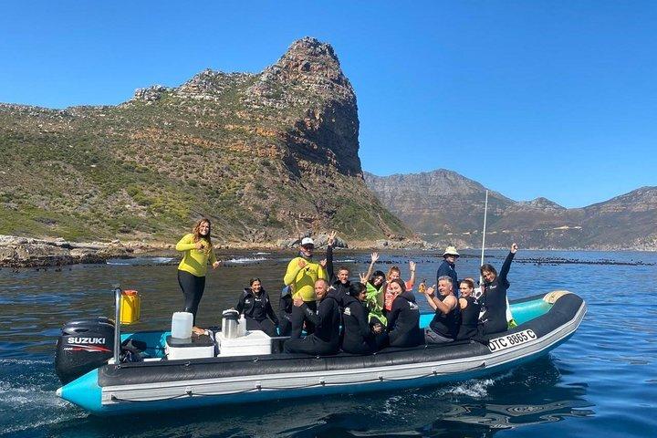 Animal Ocean Safaris