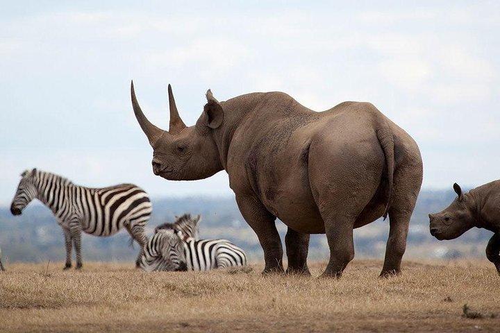 2-Day Aberdares National Park Safari