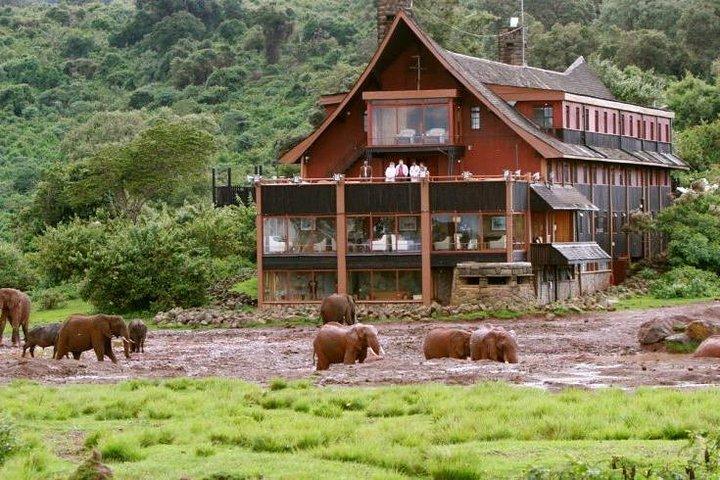 2-Day Aberdares National Park Safari