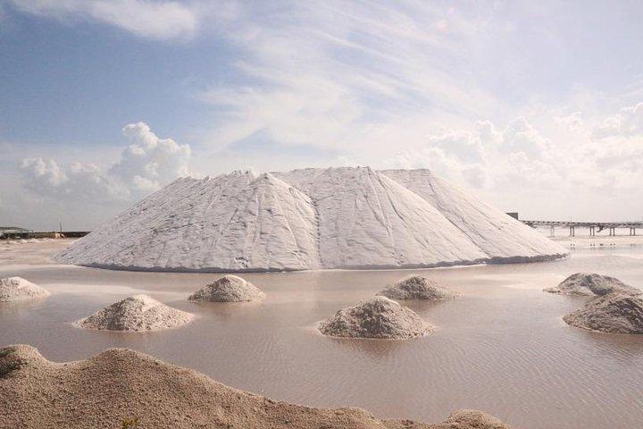 Full-Day Tour to Las Coloradas Pink Paradise in Yucatan and Rio Lagartos.