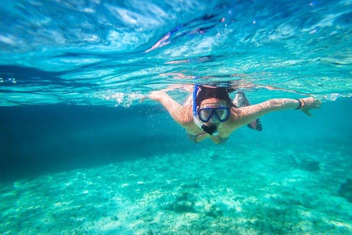 Snorkel and swim in Cozumel el Cielo Reef, Palancar and Colombia