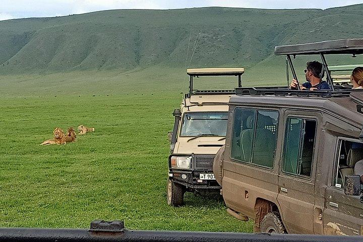6-Day Luxury Safari in Northern Tanzania