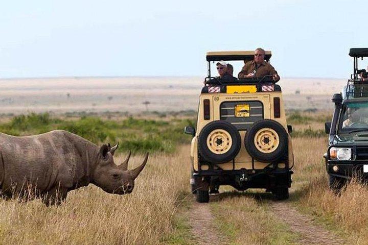 7-Day Safari Tour of Kenya from Nairobi with Accommodation