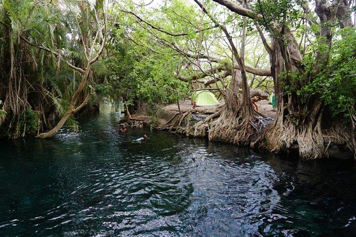 Amazing Chemka (Kikuletwa) Hot Spring Day Trip | BURIGI CHATO SAFARIS CO LTD