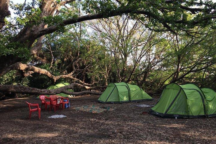 Amazing Chemka (Kikuletwa) Hot Spring Day Trip | BURIGI CHATO SAFARIS CO LTD