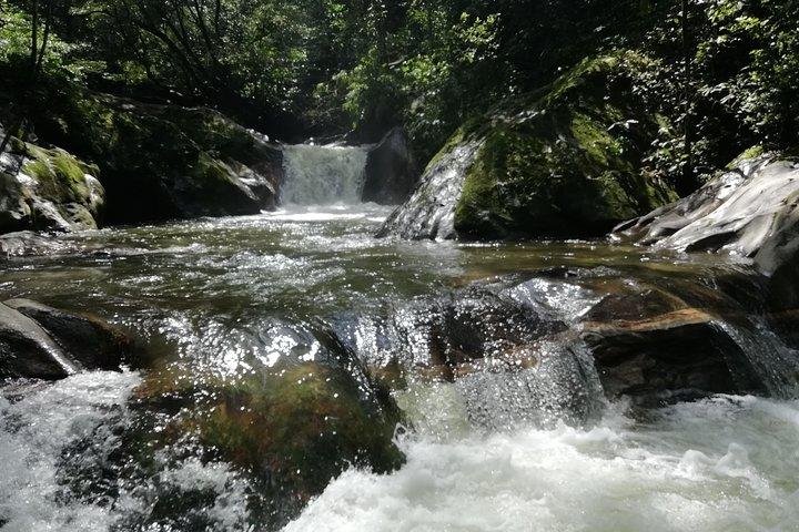 Private La Victoria Coffee Tour – Waterfalls & Minca
