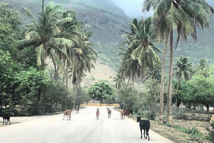 Salalah Mountain Safari Tour 2(Full Day Tour)
