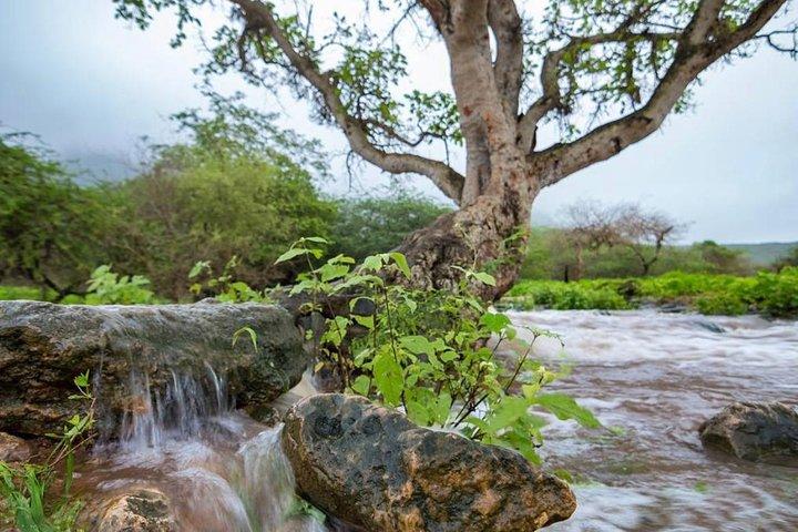 Salalah Mountain Safari Tour 2(Full Day Tour)