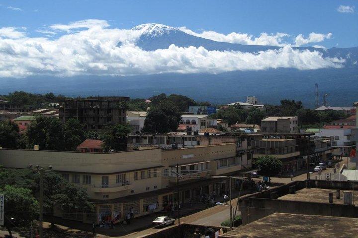 Full-Day Moshi Private Forest Walk and Local Market Tour