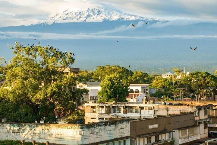 Full-Day Moshi Private Forest Walk and Local Market Tour