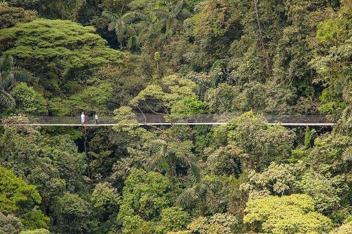 Arenal Hanging Bridges, Guided Walk, Hot Springs Optional