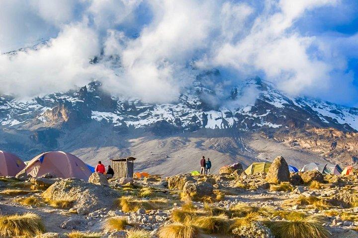 7-Day Kilimanjaro Climb Machame Route–The Best Path to Uhuru Peak