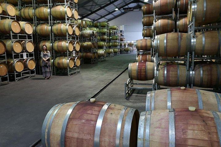 Private Half DayTour:Cape Winelands, Stellenbosch from Cape Town