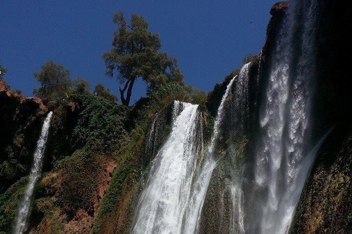 Full-Day Ouzoud Falls Guided Sightseeing Tour from Marrakech