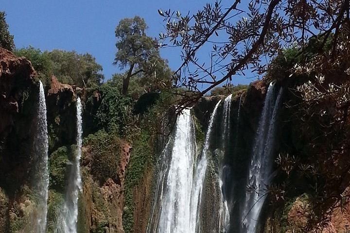 Full-Day Ouzoud Falls Guided Sightseeing Tour from Marrakech